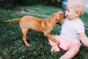 Top Tips for Introducing Your Infant to Other Children and Pets